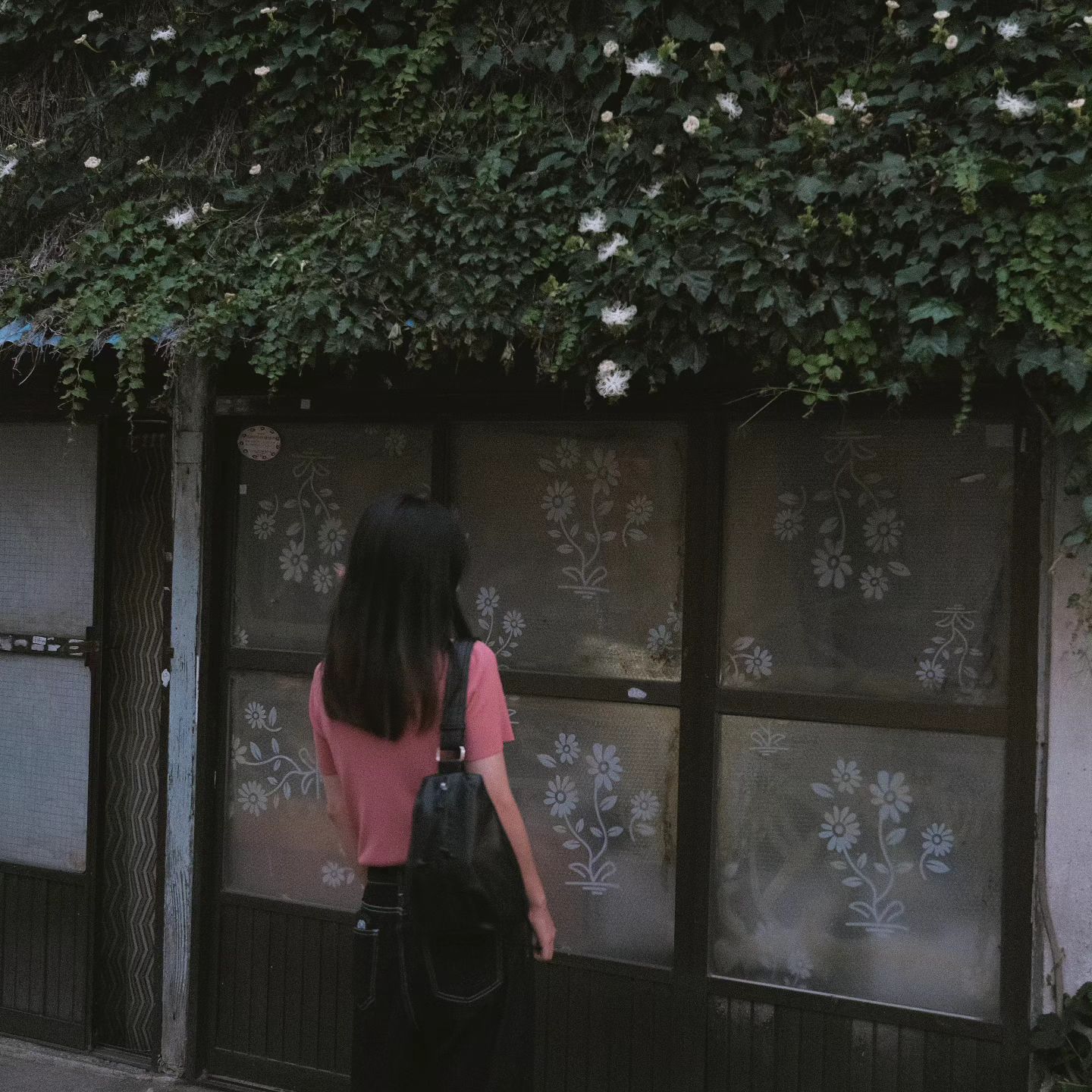 野生の花 ハヌルタリ 花と共に ｡·͜·｡