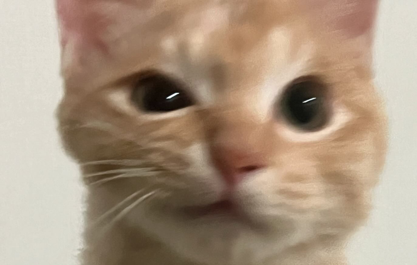콘텐츠