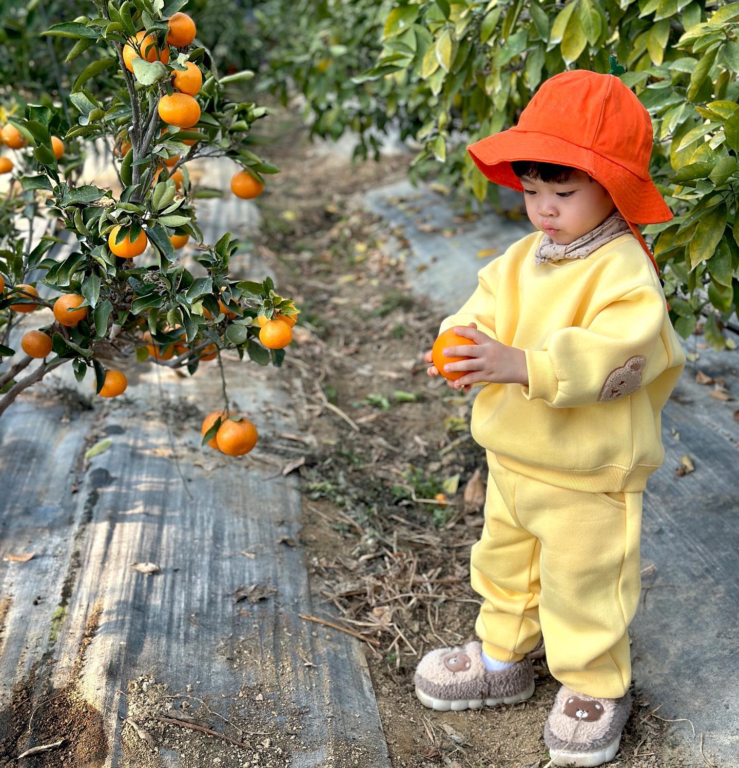 뀰🧡🍊🍊🍊