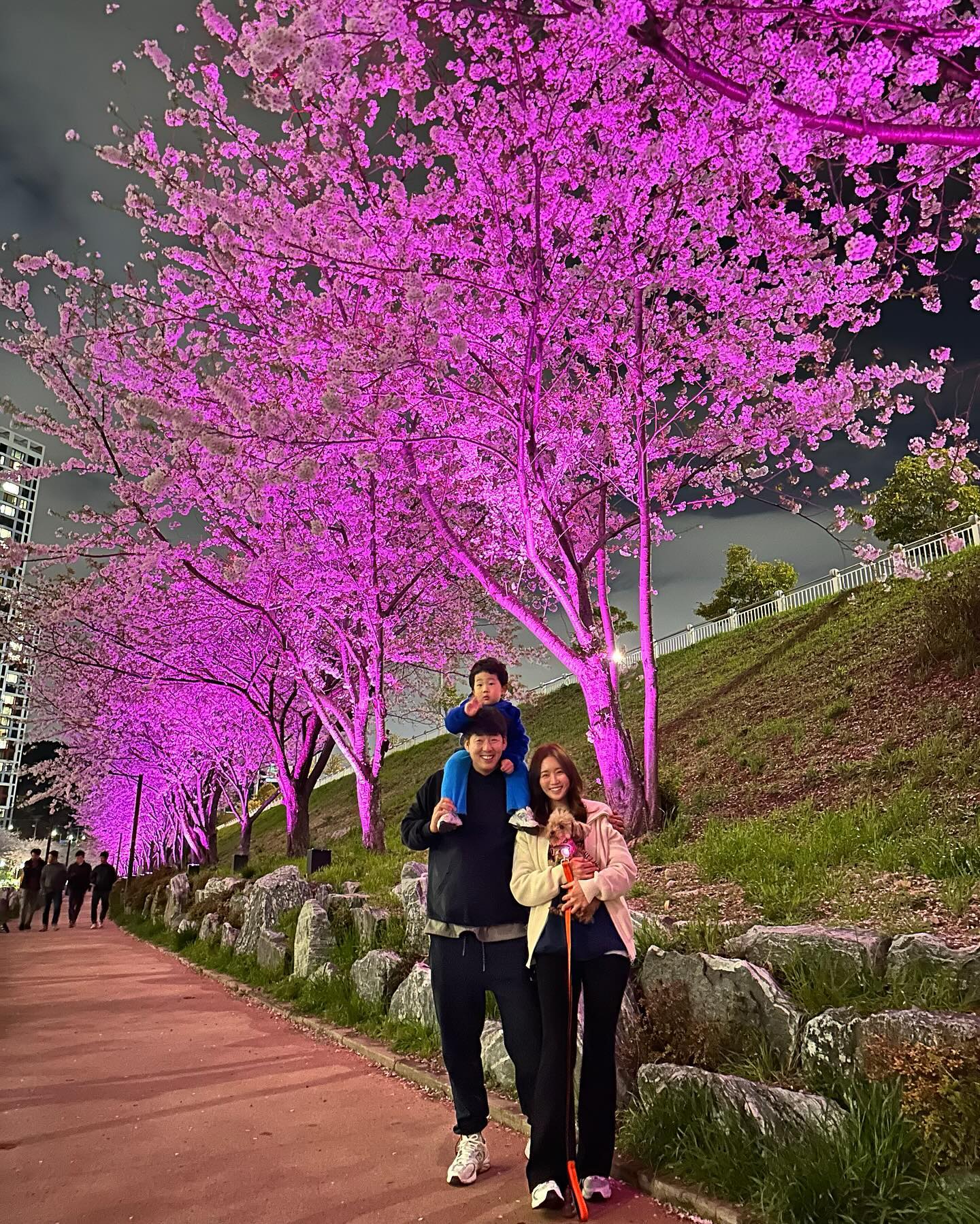 ❤️❤️❤️
벚꽃도 영도가 최고