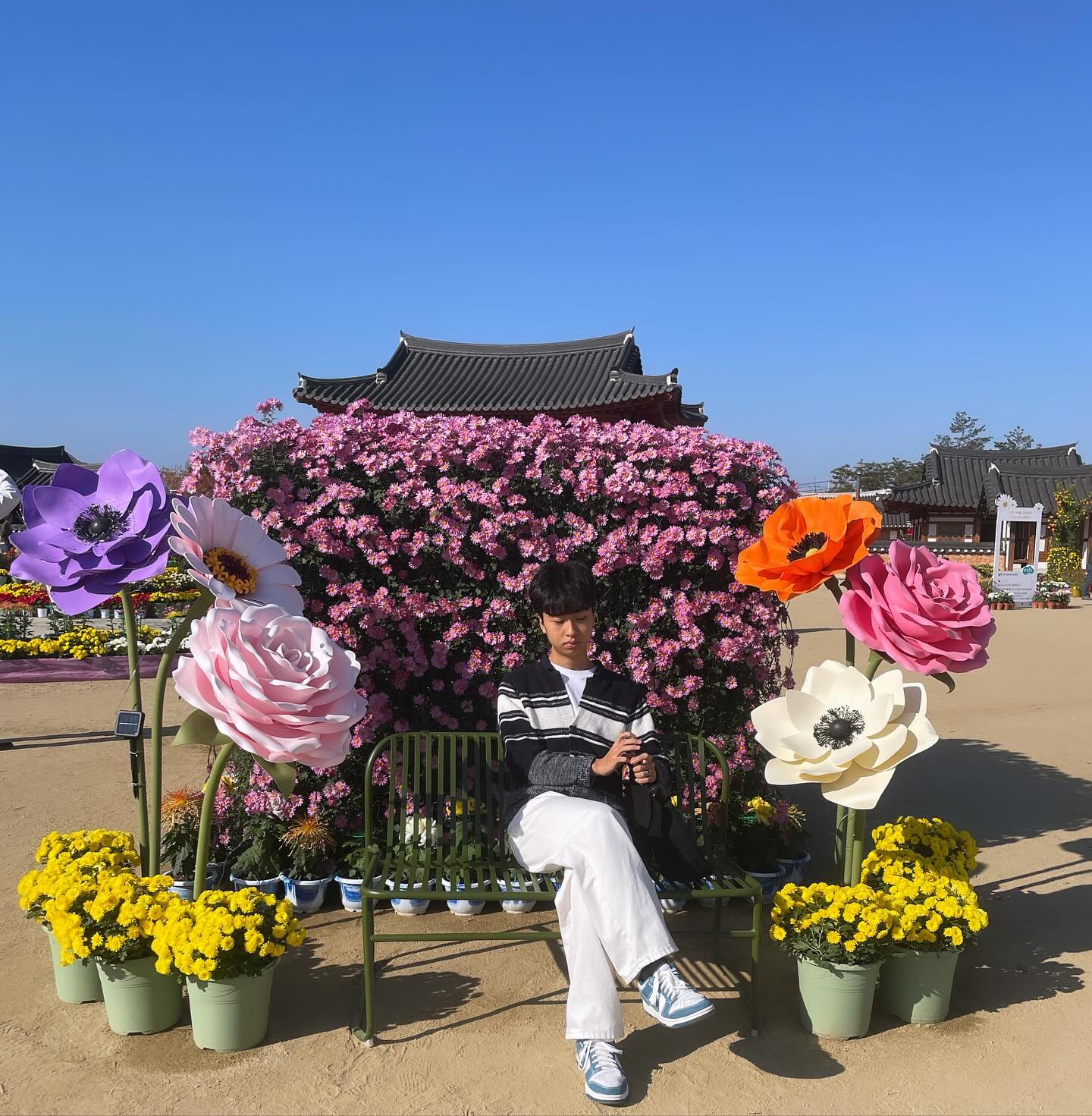 국화 전시회 갔다왔어요!!🌼
