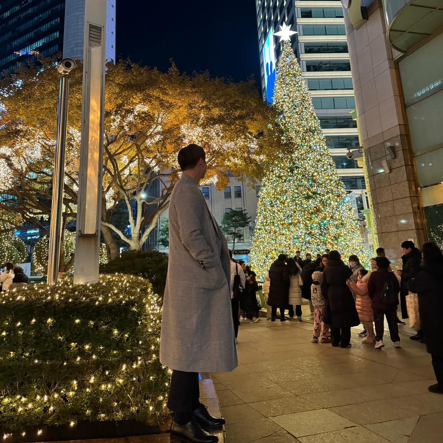 #을지로입구 #롯데호텔 #12월