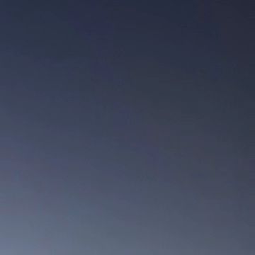 콘텐츠