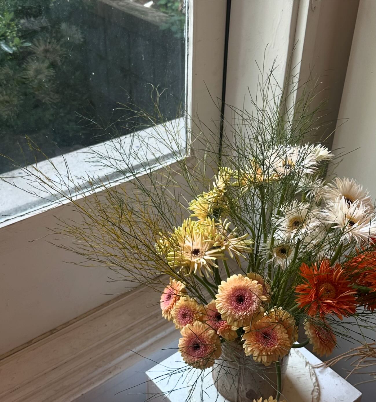 콘텐츠