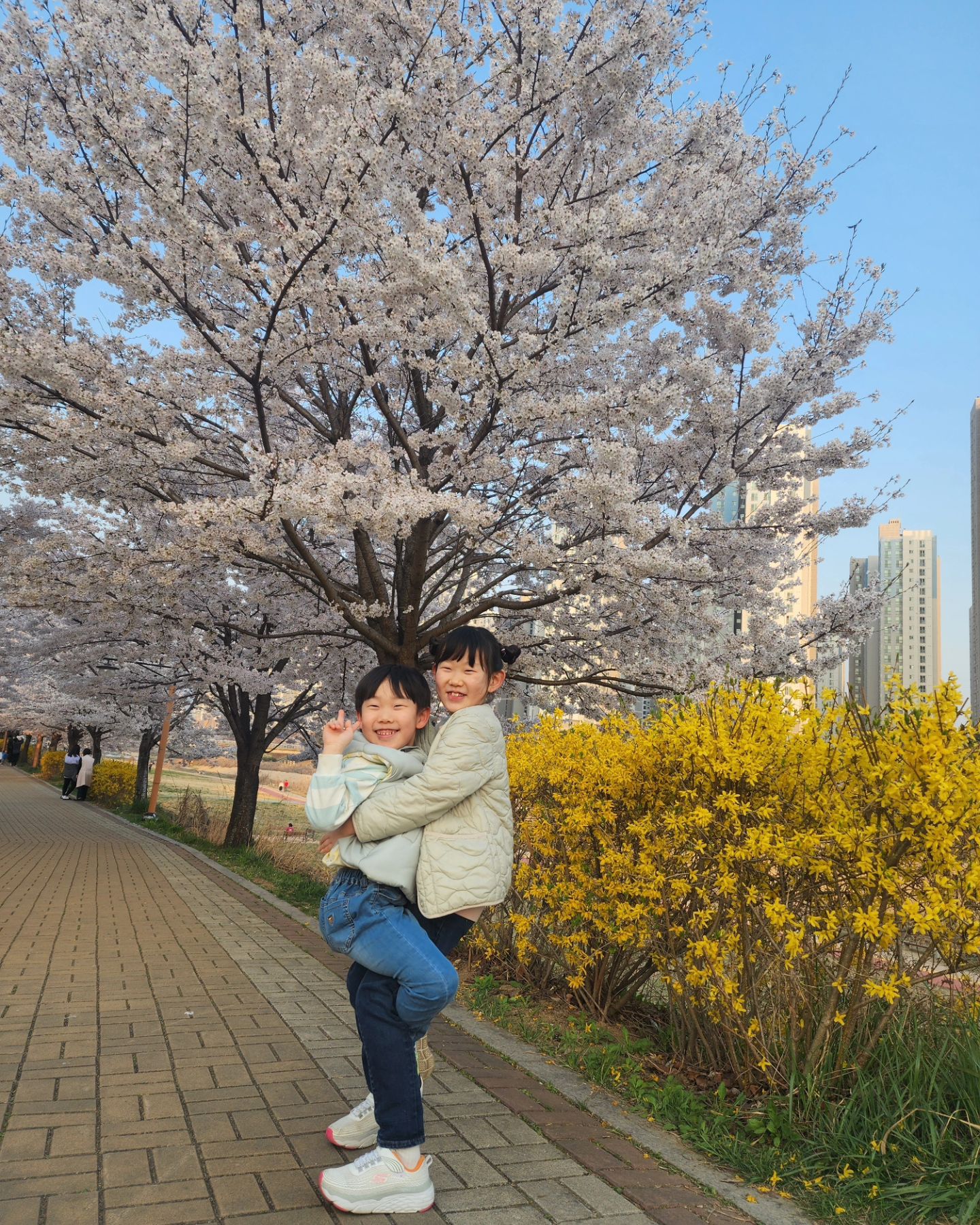 봄이야🌸

.
.
.
#창릉천 #창릉천산책 #창릉천벚꽃 #고양시벚꽃 #벚꽃 #벚꽃명소 #벚꽃명소추천 #벚꽃명당 #벚꽃길 #삼송벚꽃길 #삼송벚꽃
#myjiwoo #지우스타그램 #우남매
#봄이오나봄 #봄이왔나봄 #봄이다