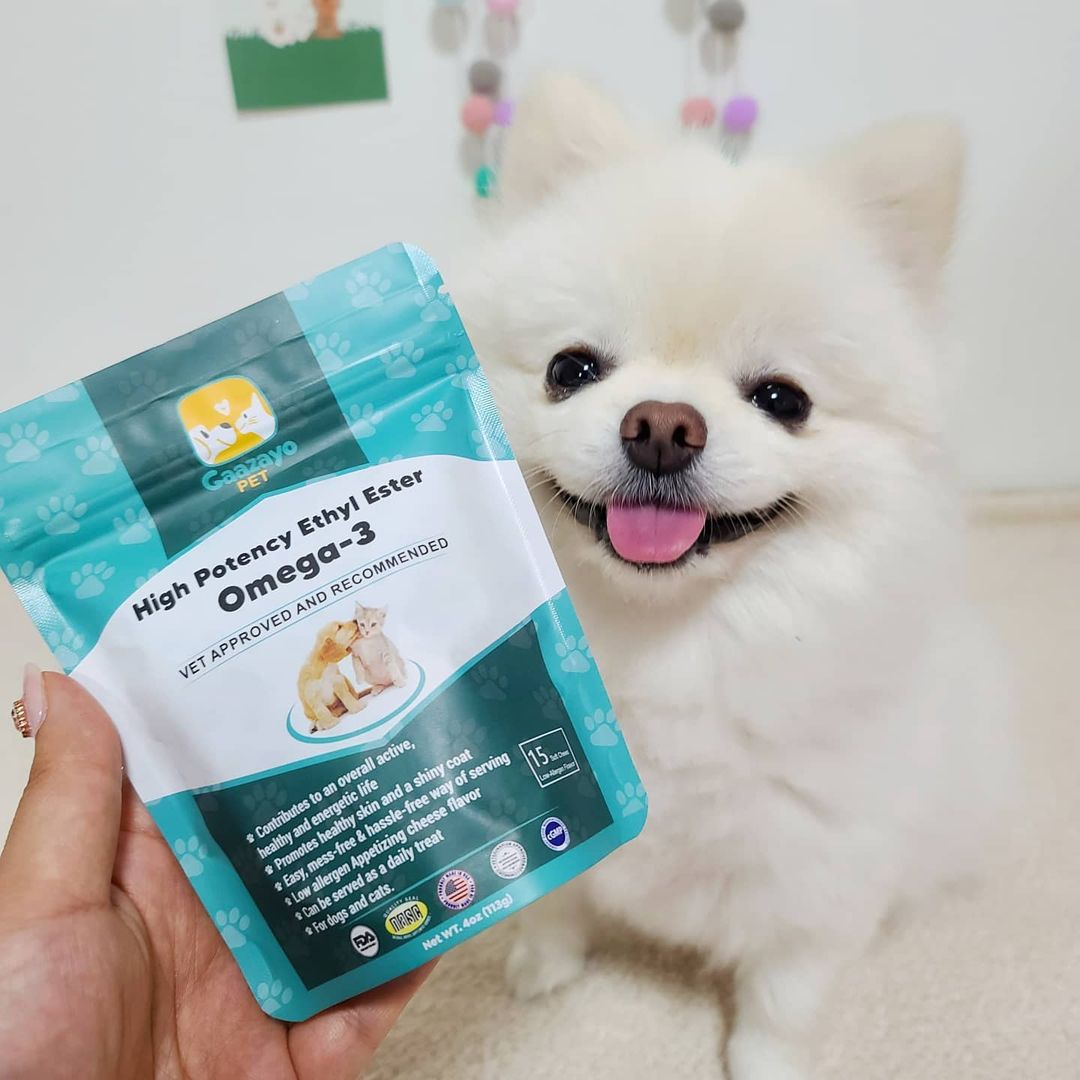 포메라니안 짤랑 Pomeranian jjalrang on Instagram: “#협찬 #가자요펫오메가3 #미국직구 짤랑이가 가자요펫 오메가3를 협찬 받았어요👏👏 오메가3는 사람에게도 좋지만 반려동물들에게도 너무 좋