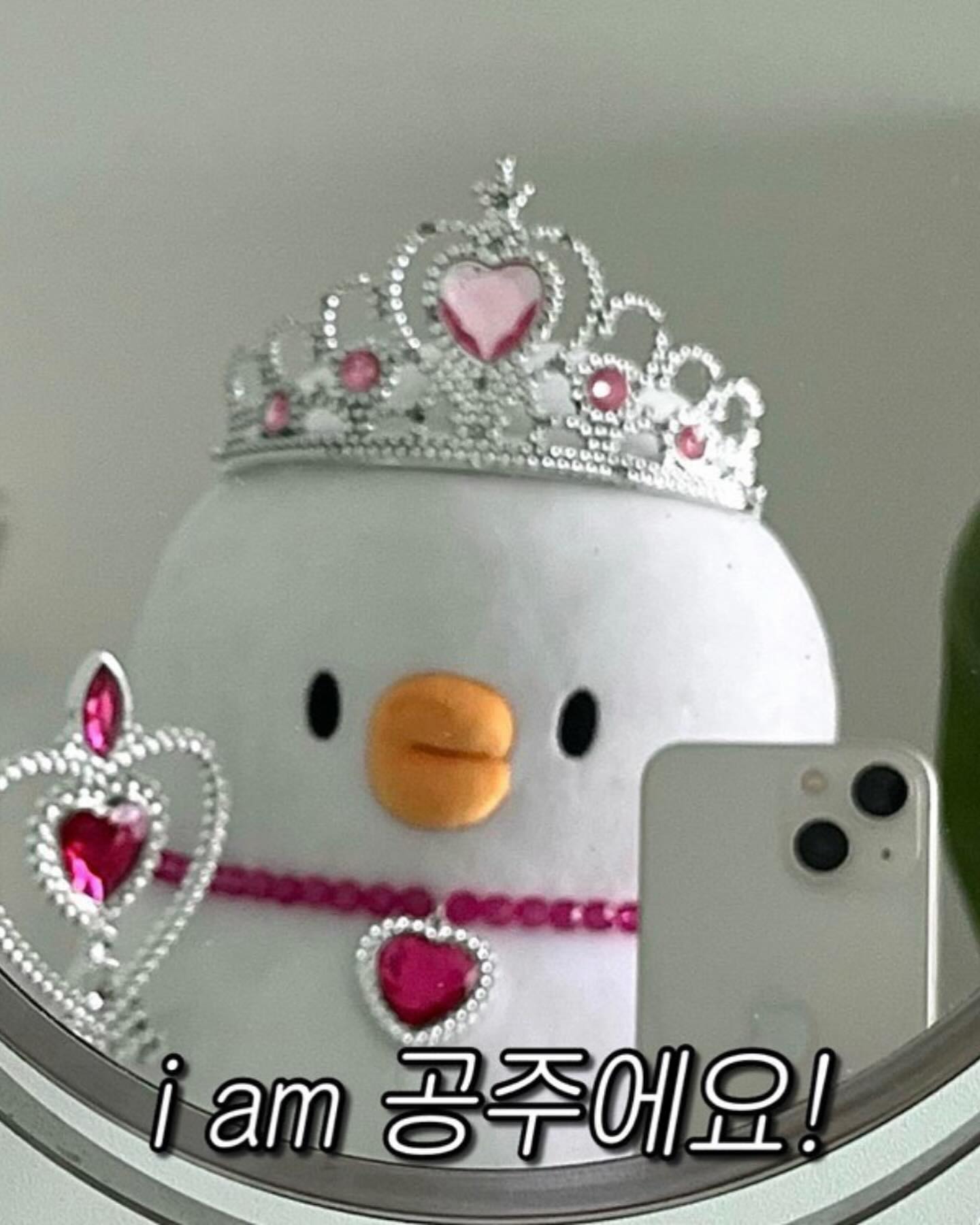 i am 공주할래요~
.
.
.
.
.
#전청조