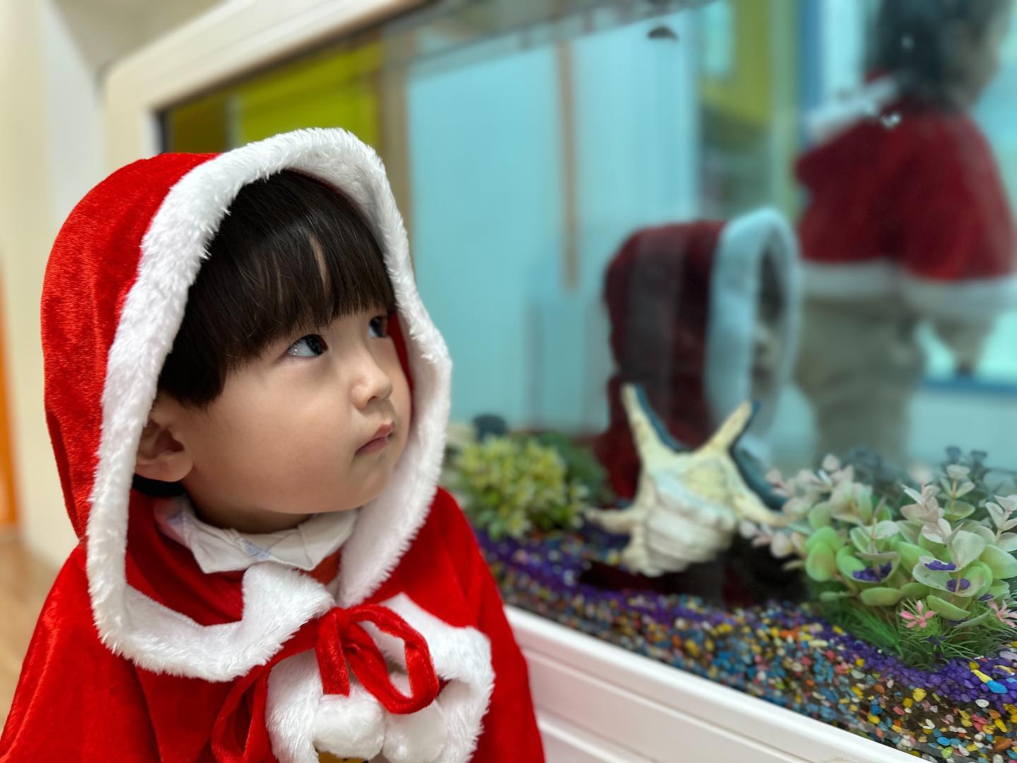 까니의23년도 크리슈마슈
얼집쌤이 사진넘이뿌게찌거쥼☺️👍

올린줄알았는데 꿈에서 올렸나보다.....😬
어린이집 크리스마스 그리고 트니트니 산타

산타그까이꺼 1두안무서운까니💦

#상남자 #문센하다누워자버리기 #산타랑 #아기산타