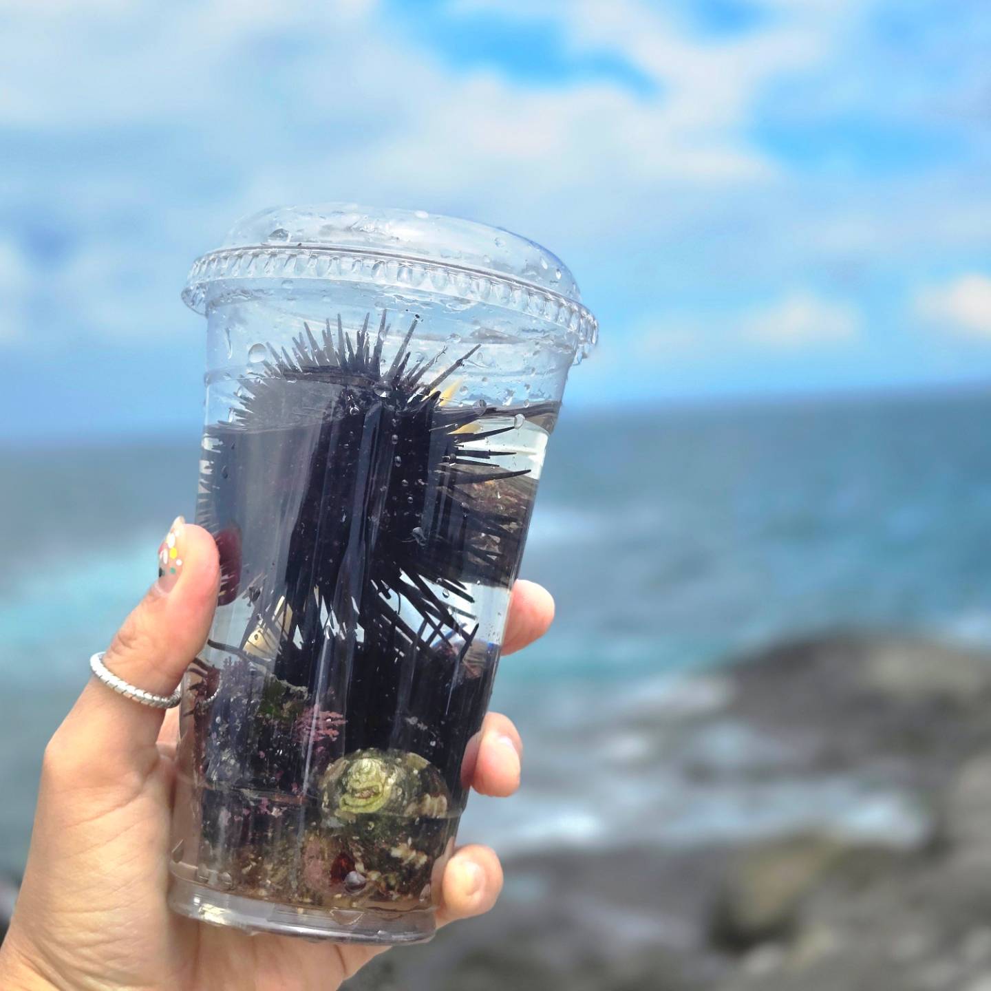 매일매일 수영하고
마음에 드는 수영복도 사고
바다에서 스노쿨링도 하고

최고의 여름이야 정말🌵🏊‍♀️💚💙