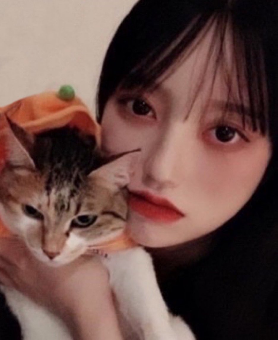 콘텐츠