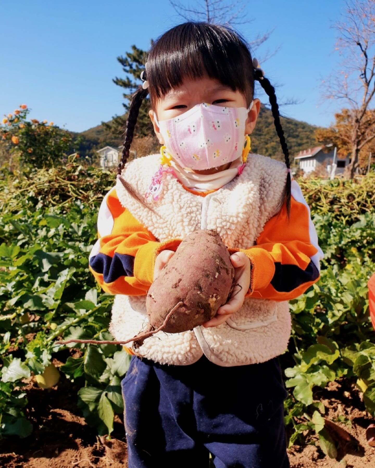 _
.
.
어제 얼집텃밭에서 고구마 캐기🍠

근데 많이 무거웠나벼? ㅋㅋㅋㅋㅋㅋ
표정 짱귀엽네😜
고사리손으로 꼬물꼬물 대견햐

엄마 좀전에 그 고구미로 맛탕만들어놨다! 
함묵어보자 뇸뇸