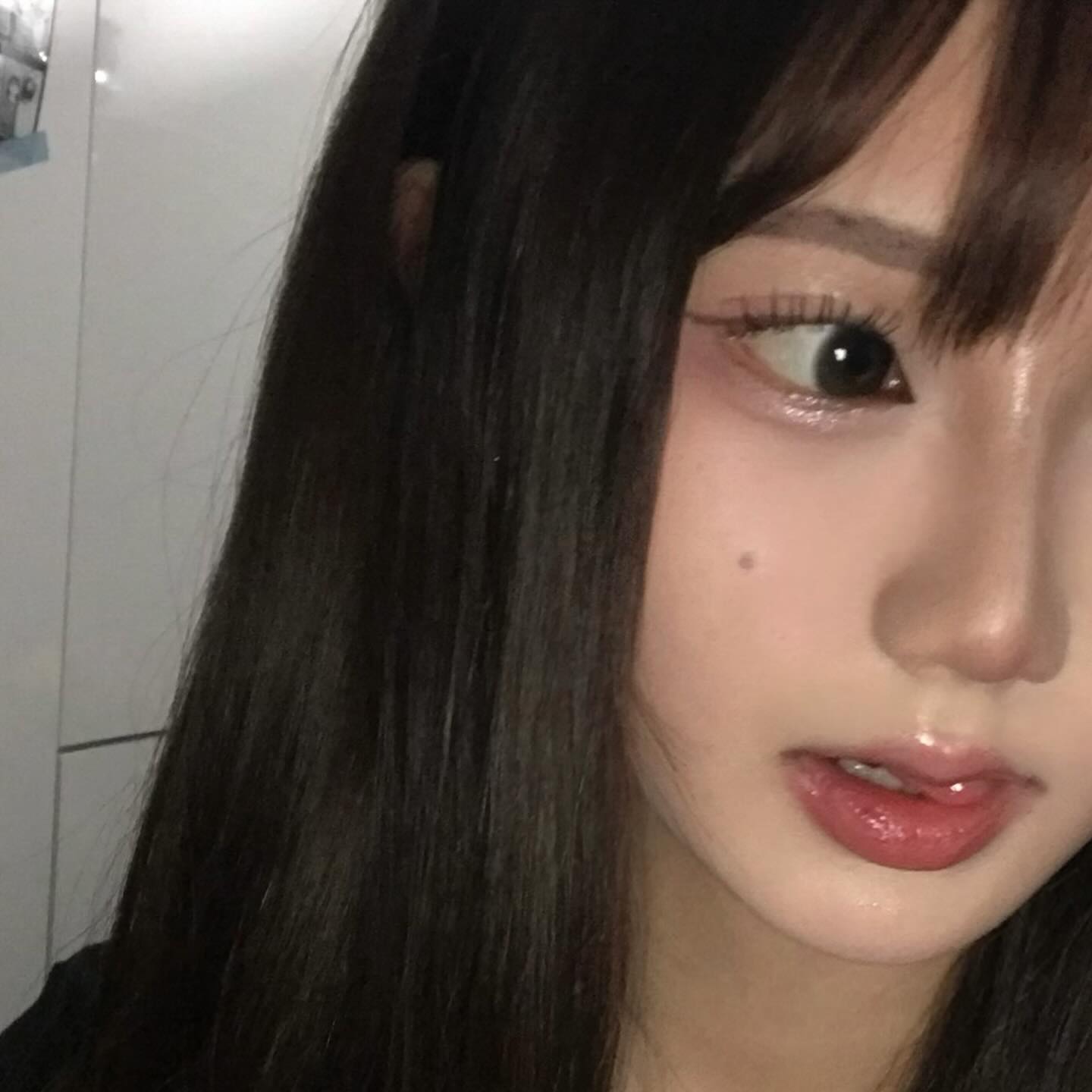 홍대 근처 고양이 삼남매 집