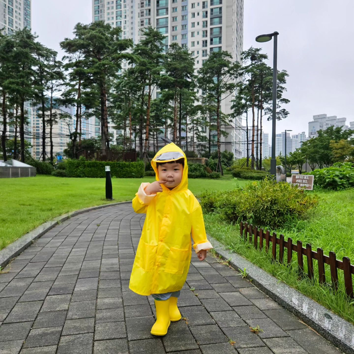 비오는 등원길☔️