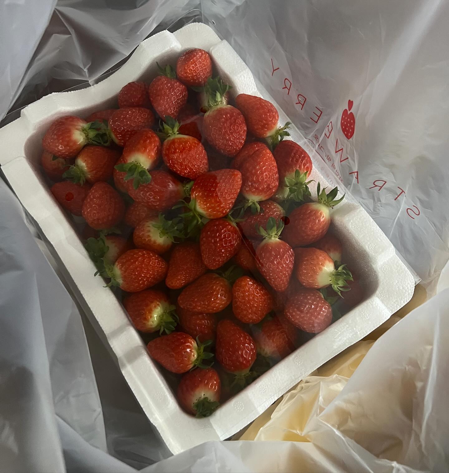 오빠가 준 설 선물💝
올해는 왜케 든든한지!