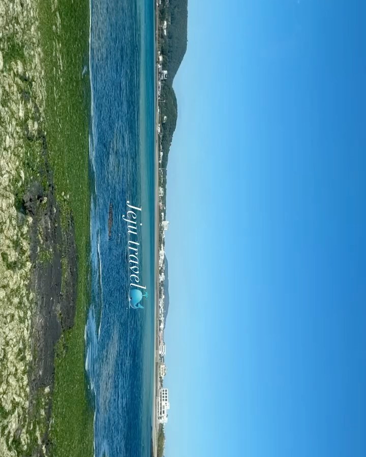 이쯤되면 제주 홍보대사🍊