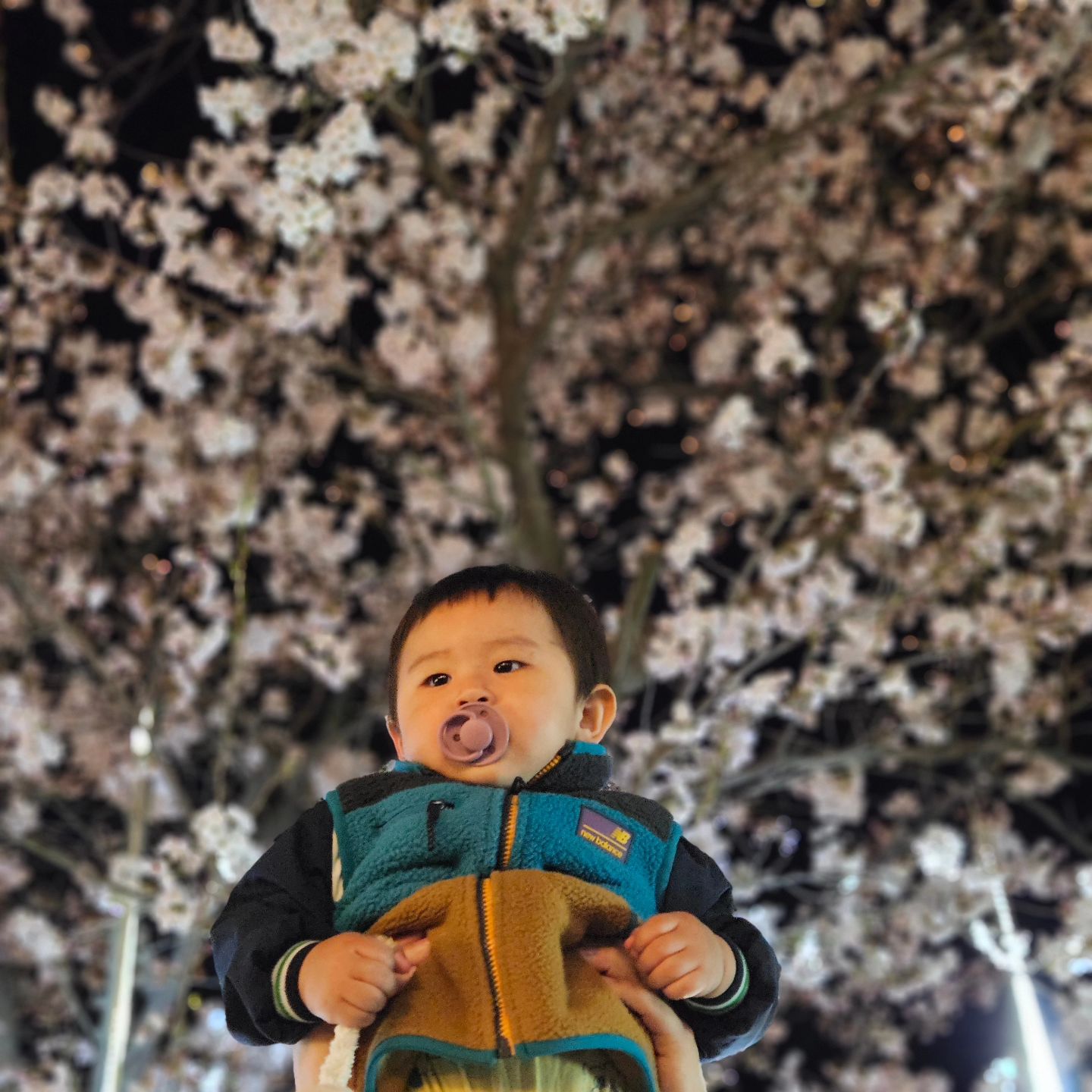 #두돌여행👪 

두돌여행이라 부르고 엉망진창이라 쓴다 ^^ 
우주 낳고 처음으로 7시반 외출..!

정말 토,일 내내 뛰어논 우주😘
+ 엉망진창 가족사진 

마지막사진은 울집 아조씨가 애정하는 컷 🩷

#파주여행 #두돌아기여행 #국내여행 #벚꽃명소 #야경맛집✨ #프로방스마을 #아빠가사진찍어줌 #엉망진창그램