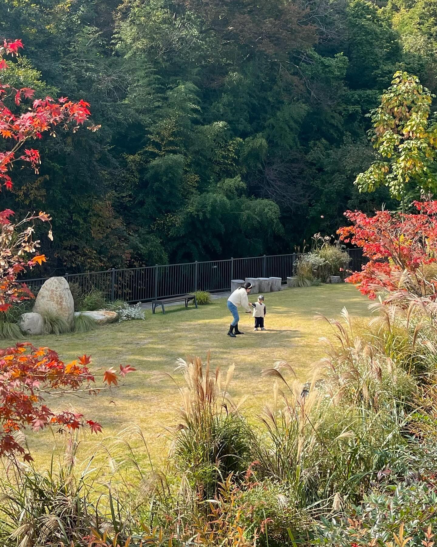 가을의 끝자락에서 차누랑 데이트🍂
코감기로 어디 가지도 못했는데 조금 따뜻해졌을때 다녀왔던 아틀리애 은유재, 비눗방울도 팔고 아이들이 뛰어놀기도 좋고 너무 좋았어요! 차누는 뛰어다니고 신나게 놀고 차에서 꿀잠을 잤어요 🤣🤣 역시 뛰어놀아야..🫰🏻🫰🏻
오랜만에 카페도 가서 놀고 행복한 하루였지요🤎
비오는 월요일이지만 우리 커피 마시고 힘내보아요👶🏻
#기장카페#장안사카페#아틀리에은유재 #아들맘#육아일상

우리남표니 사진 잘찍었네? 이제3년뒤..🤣🤣💙