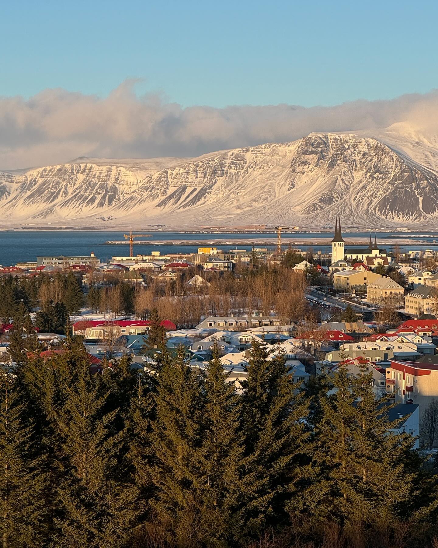 아이슬란드🇮🇸
이쁜 사진🙃