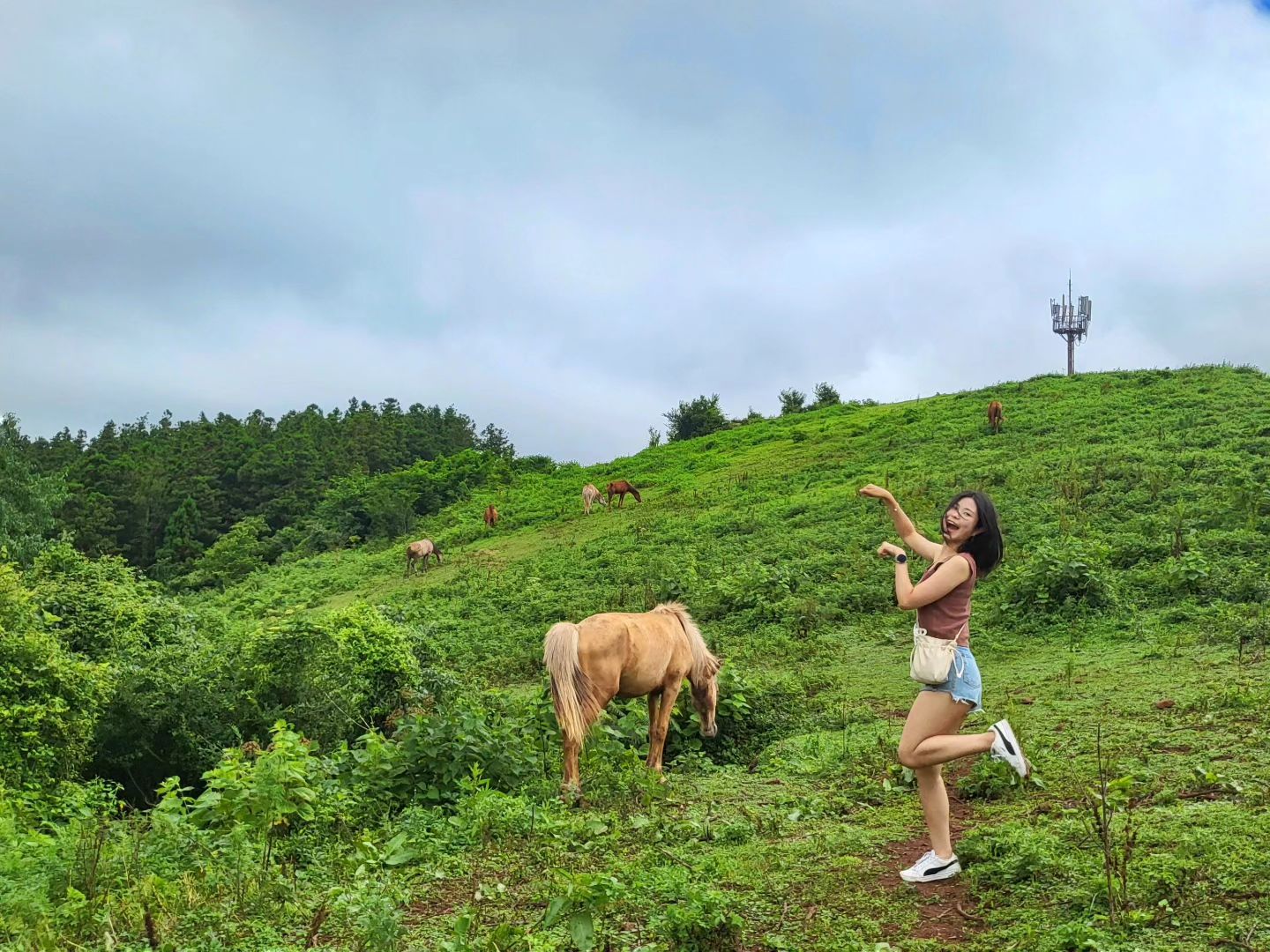 제주도 셋째 날은 자연 속으로🐴

말 보겠다고 옷 갈색으로 맞춰입고 #문도지오름 
원래 바다 가면 수영 안 하는 사람인데 제대로 수영복 갖춰입고 #판포포구 에서 믈과 하나 되기🌊