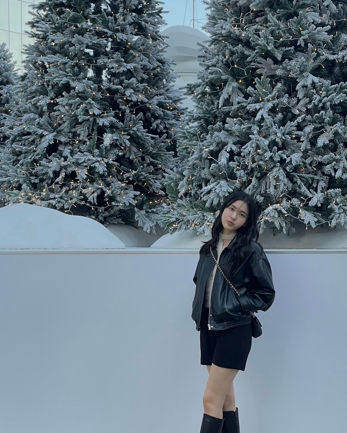 길거리 트리 도장깨기 스타트🎄✨