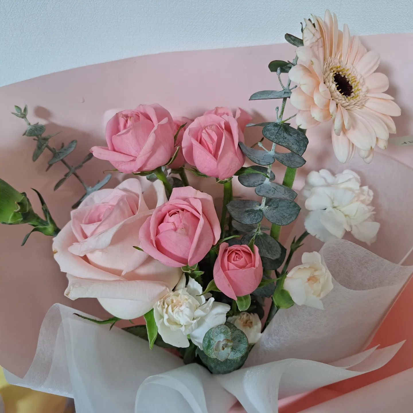 이사 오고 나서도 무탈하게 
잘 작응해줘서 고마워
내 사랑둥이들~♡

몸보신도, 봄맞이 쇼핑도 후다닥

#24년에도잘해보자
#딸들도나도신랑도♡
#쑥쑥성장하는송가네