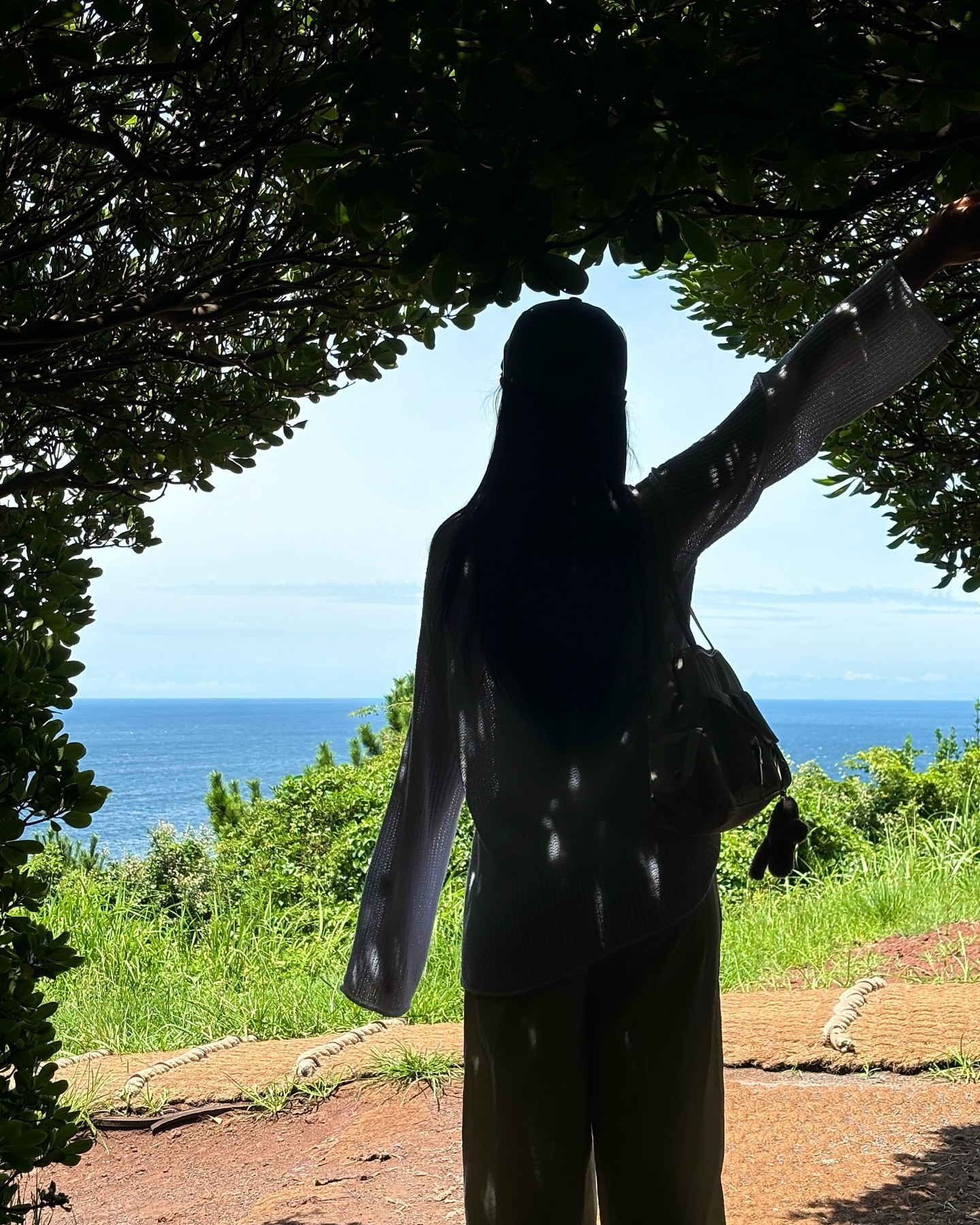 제주또가고싶어🏝️