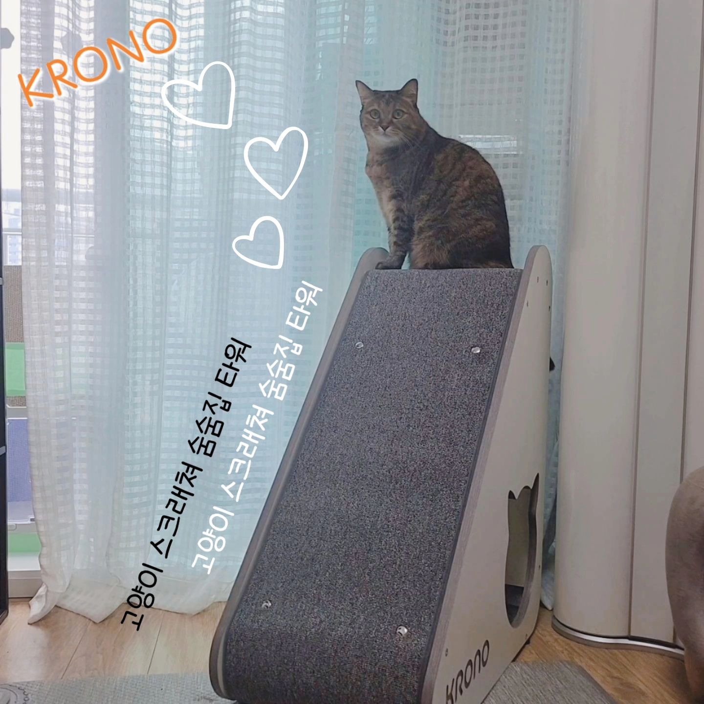 #협찬 #제품제공

☆ 크로노 플리 고양이 스크래쳐 숨숨집 타워!!
.
꼭대기 전망대와 경사&수직 스크래칭~
숨숨집과 터널 놀이까지~!! 🤗🤗
.

스크래칭과 휴식이 가능한 대형 스크래쳐 ✔️
높이 75cm와 가로 65cm의 넉넉한 사이즈 ✔️
15.5kg 무게로 밀리지 않는 튼튼한 내구성 ✔️
올라가서 쉴 수 있는 꼭대기 전망대 ✔️
경사 스크래칭과 수직 스크래칭 동시에 가능 ✔️
꼭대기 공간과 숨숨집 내부 공간도 스크래칭 가능 ✔️
대칭형 디자인으로 숨숨집과 터널 놀이가 가능 ✔️
먼지 날림이 적고 내구성이 강한 교체 가능한 카페트 ✔️
모던한 컬러로 어디에나 어울리는 디자인 ✔️
친환경 E1 등급 보드와 LPM 공법으로 제작 ✔️
.

새로운 캣타워가 마음에 쏙 들었는지~

이제 잘 시간이라며 불을 껐는데도..

둘이 우다다~ 뛰다가~
번갈아가면서 숨다가~ ㅎㅎㅎ 

이렇게 좋아할 줄이야~ 

캣타워에 미끄럼틀형 스크래쳐를 추가로 설치할까??
고민될 정도로 너~무 잘 써준다. ☺️☺️
.
.
#크로노 #크로노플리 #크로노스크래쳐 #크로노숨숨집#크로노캣타워#크로노타워#크로노고양이캣타워#크로노고양이숨숨집#크로노고양이타워#크로노플리스크래쳐#크로노플리캣타워#크로노플리숨숨집#크로노플리타워#고양이스크래쳐 #고양이해먹 #고양이침대#고양이쇼파 #고양이캣타워 #고양이숨숨집 #고양이집