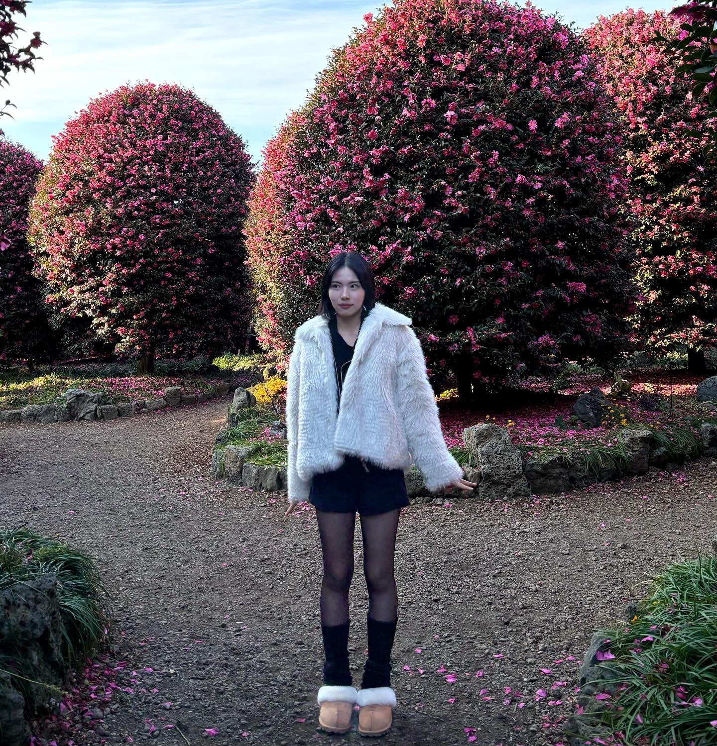 🌺이제 제주도도 춥다….🌺