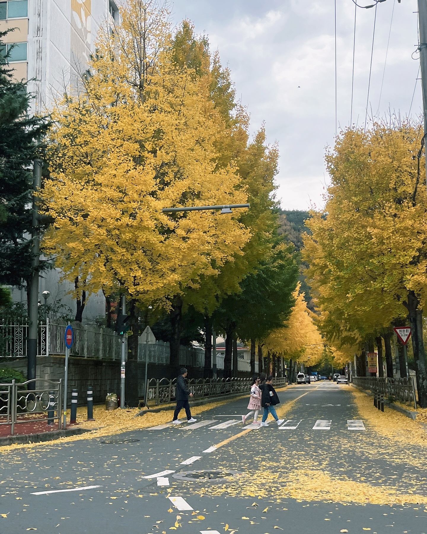 가지마 가을아..🍁