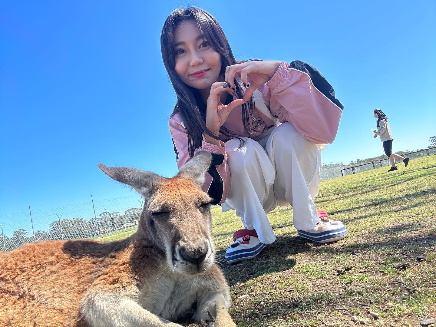 🇦🇺 oakvale Farm 
캥거루 귀엽자나🦘🦘💛