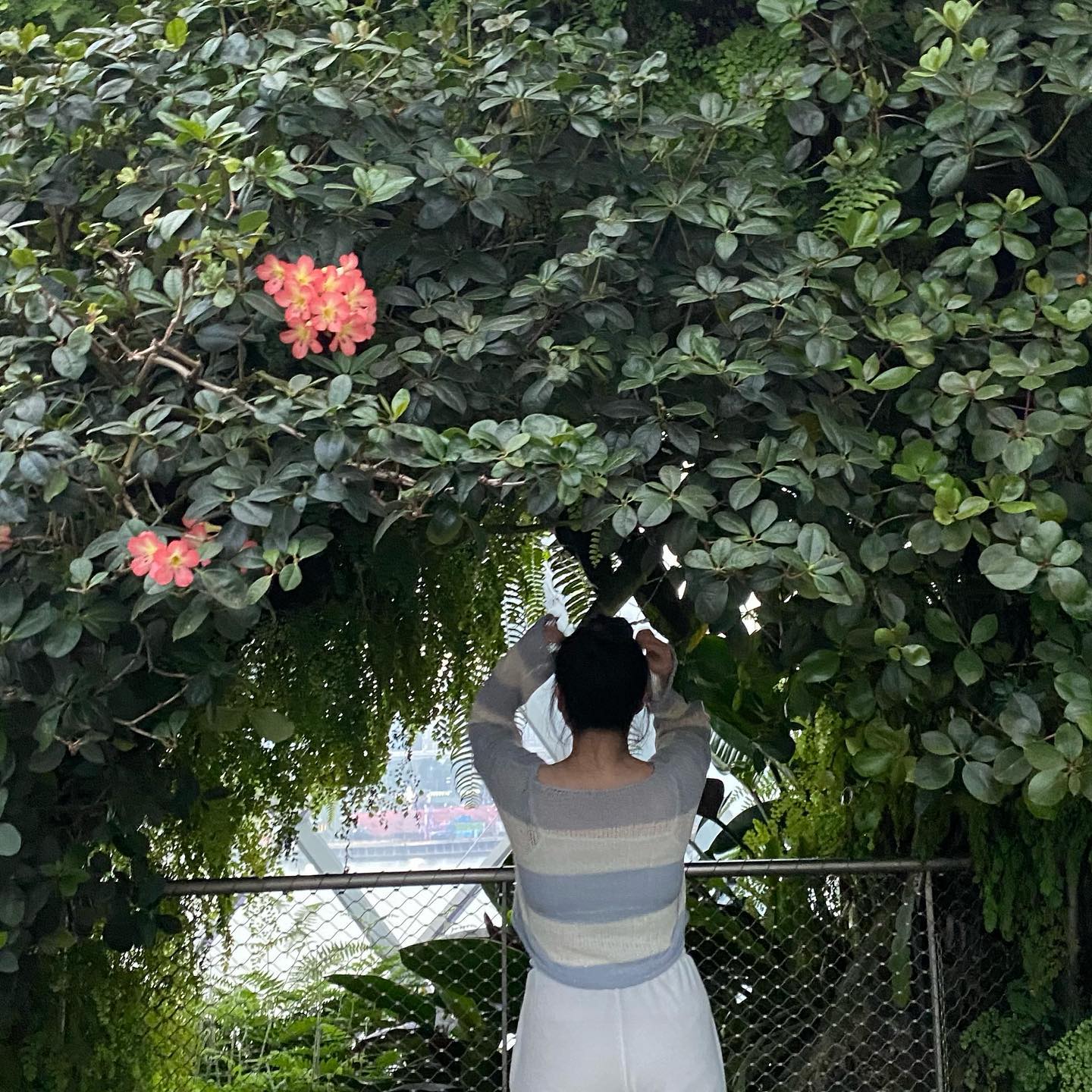 콘텐츠