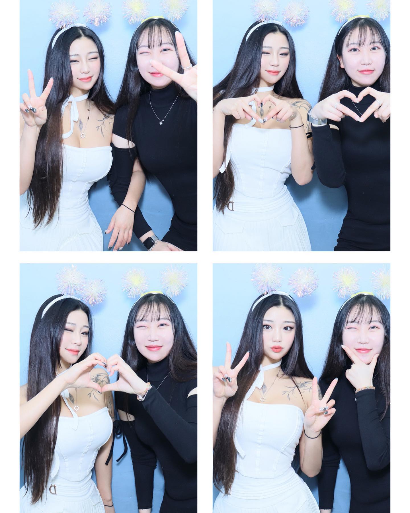 화이트곤듀 ʕっ•ᴥ•ʔっ🤍✨🖤
 어쩌다 보니 바둑돌룩으로 만나버린 나의 다트 메이트🎯