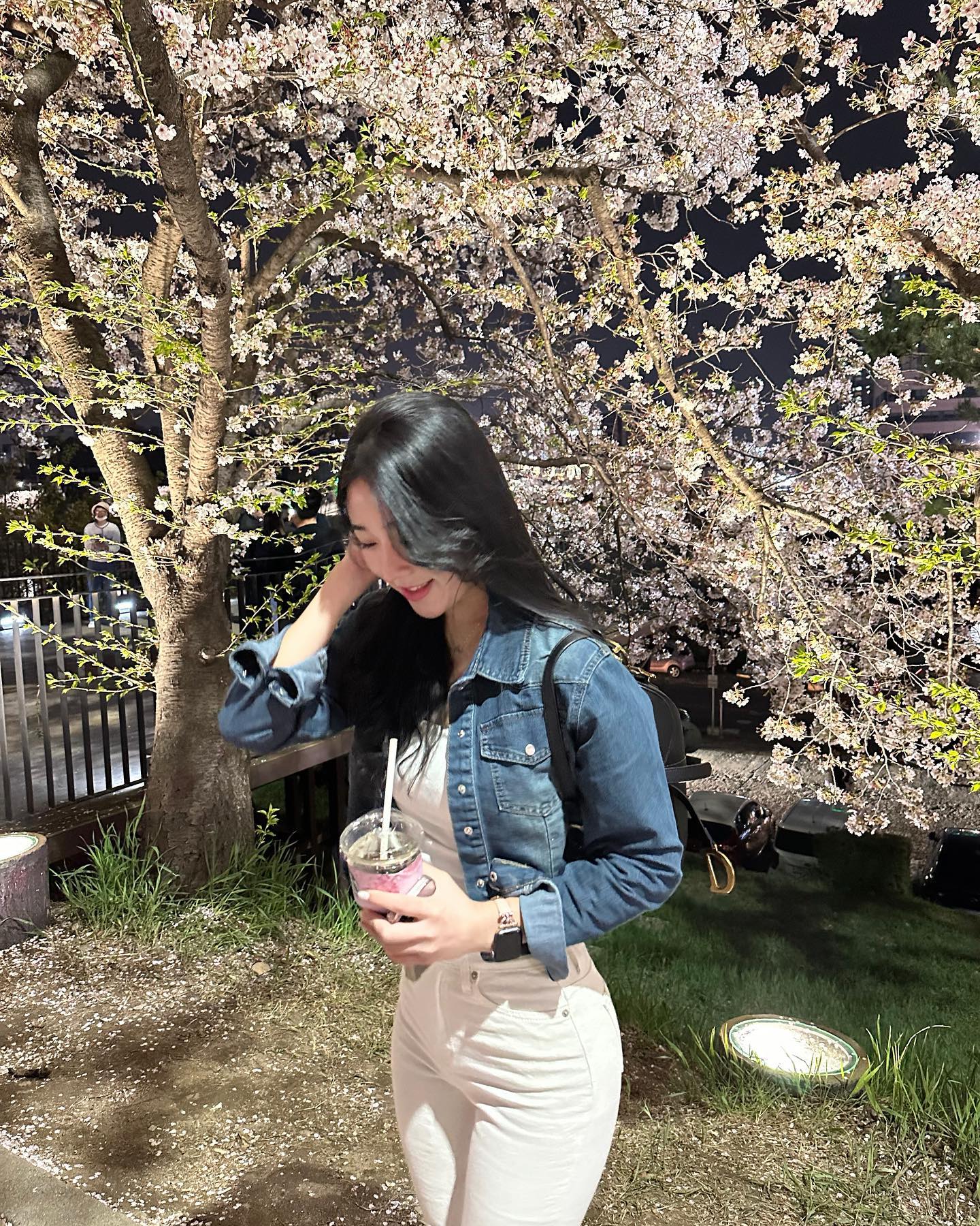 밤 벚꽃 🫧