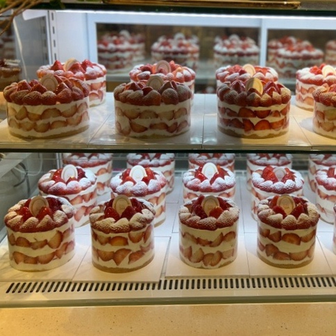 <키친205 롯데월드몰점> 🍓딸기밭케이크🍰 현장 테이크아웃 후기 여름딸기의 맛은 과연..🍓