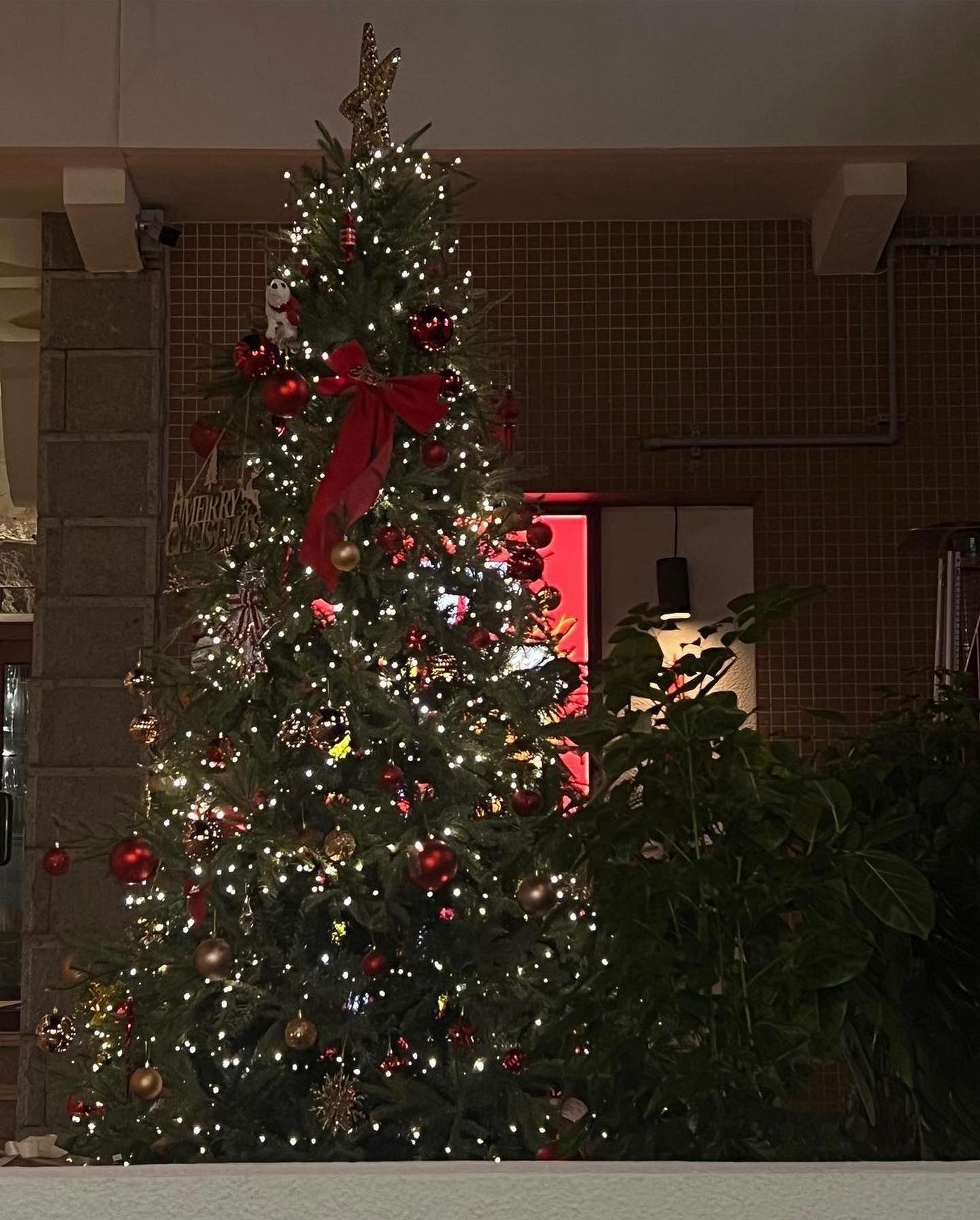 밥 먹으러 가는 길에 트리가 있어서🎄
근데 몬가 많이 모질람ㅋㅌㅋㅋㅌㅋㅋ😂