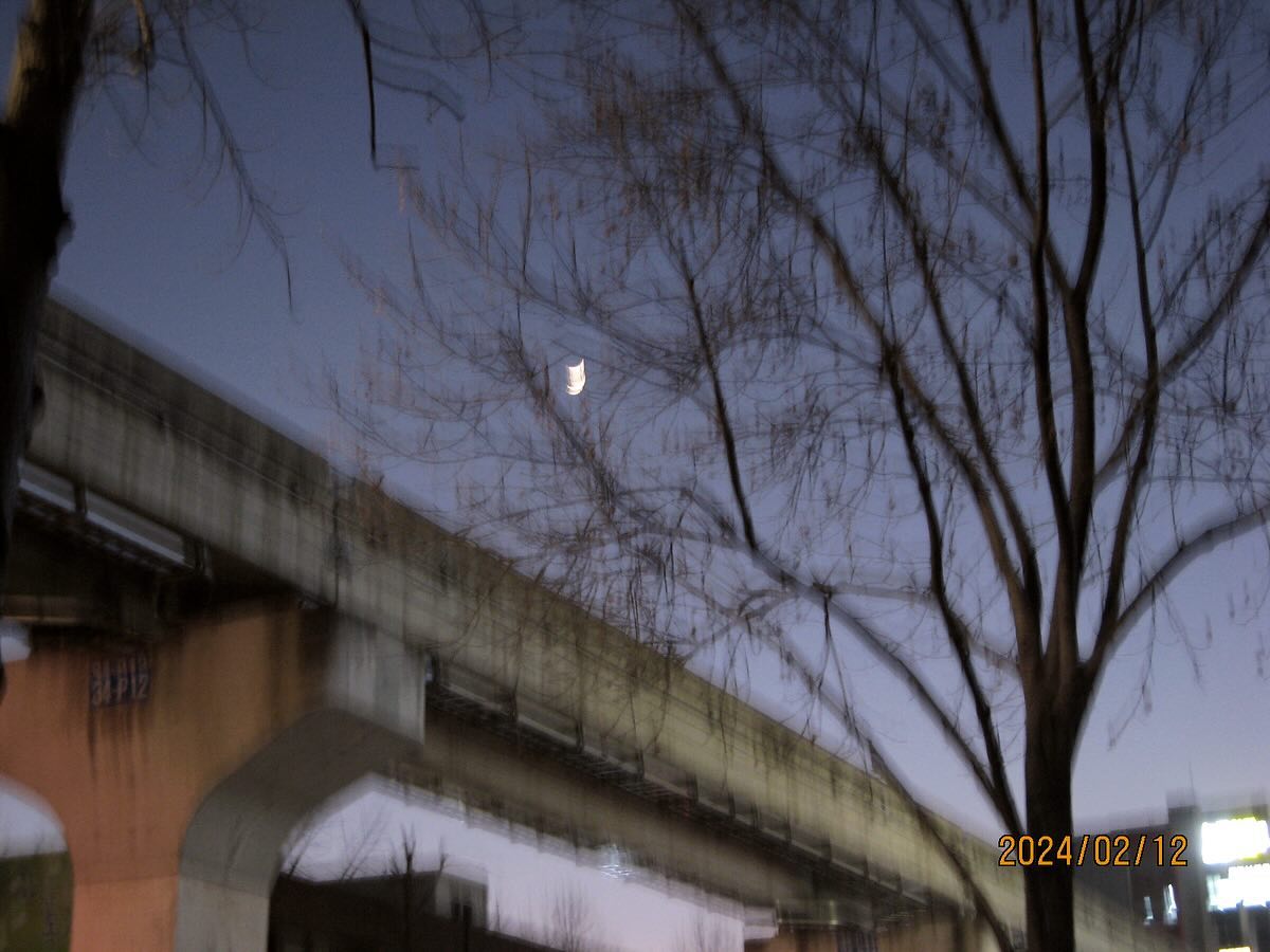🌙