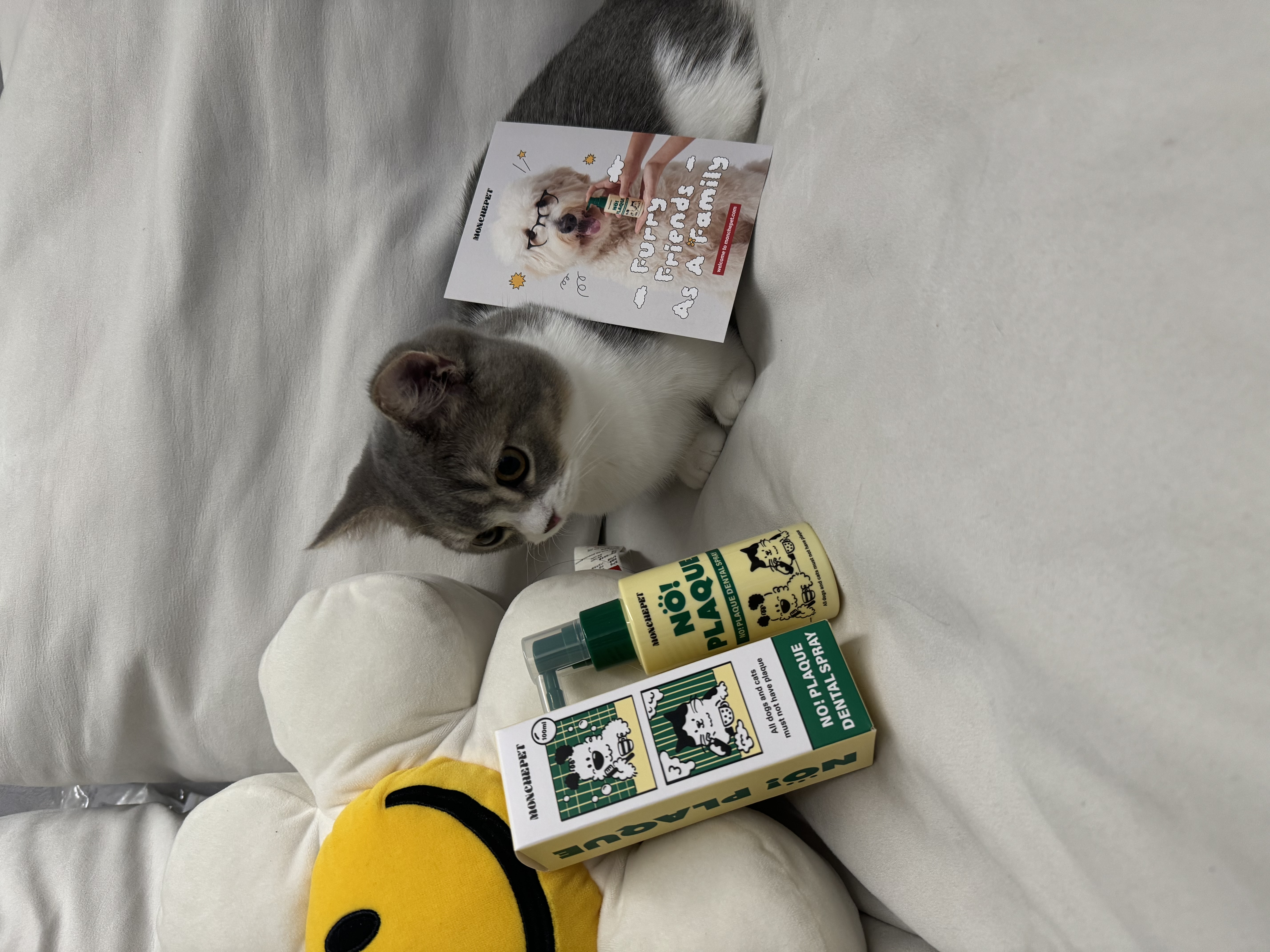 콘텐츠