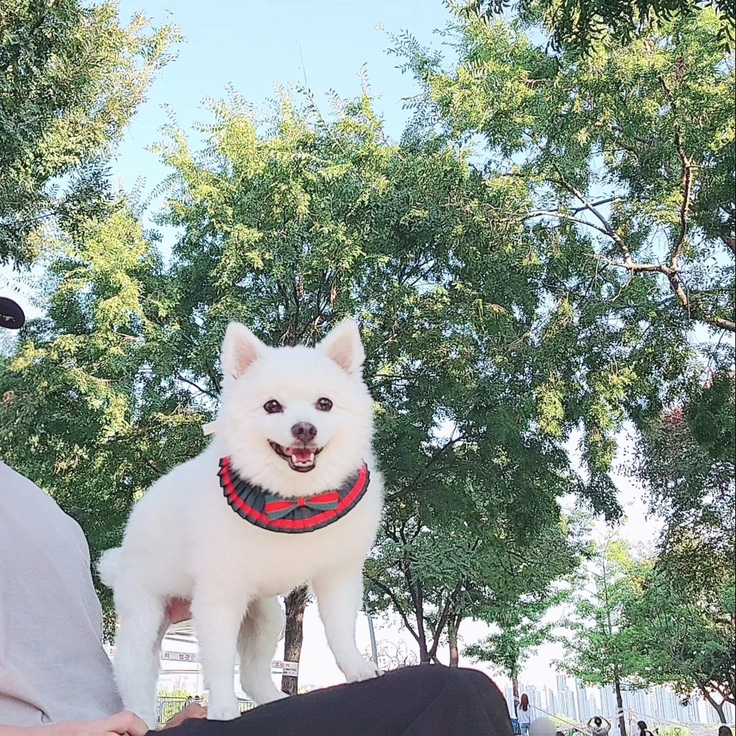 즐거운주말🩷
