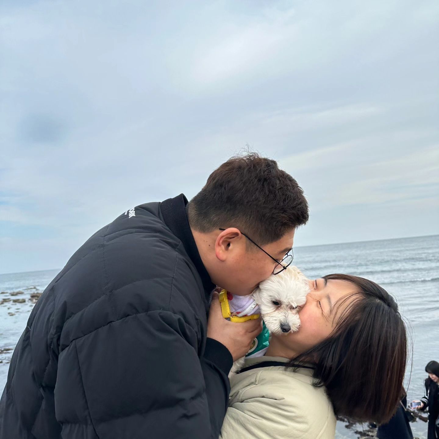 콘텐츠