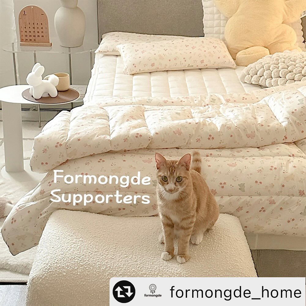 #리그램 - formongde_home by get_multi_repost
#서포터즈모집
포몽드와 연말까지 쭈욱 함께할 올해 마지막 서폿~💛
📣포룡이 9기 모집을 시작합니다✨
포몽드의 F/W 체험할 갬잘알을 찾습니다👀🔍
감성무드 모달라인부터 따뜻한 겨울침구까지
요번 라인업 장난없어요,,,?
귀여운 포룡이 9기 여러분들 기다릴게요~🙌

•모집기간
24년 7월 9일 (화) ~ 7월 21일(일) 단, 13일간!

♥서포터즈 참여 방법♥
1. #포몽드 (formongde_home) 팔로우하기
2. 피드 중 맘에드는 사진 리그램하기
  스토리퍼가주시면 더 좋아요🤍
3. 댓글에 ”참여완료“ 남기기 !
4. ”DM“으로 보내지는 신청폼 작성하기💛 
5. 참여 완료! 👏👏 
(비공개 계정은 참여가 어렵습니다)

♥필수 확인♥
✔️꼭 참여완료 남긴후 디엠으로 발송되는 폼 작성해주세요!!
✔개인정보 동의, 마케팅활용 동의
✔서포터즈 종료 후 6개월간 피드 삭제 또는 보관금지🙅‍
✔동종업계 서포터즈 금지🙅‍

•모집인원
25명 내외

•제공제품 (변동될수있어요)
24년 신상 F/W 제품
🤍 모달라인 침구 세트
🤍 극세사라인 침구 세트
🤍 고밀도 침구 세트
🤍 백숙이 라인 침구 세트
🤍 프리미엄 양모침구
🤍 가방 및 겨울소품등 다수

•서포터즈 활동기간
약 4-5개월

•서포터즈 발표
8/5(월) 개별메일로 발표됩니다 :D