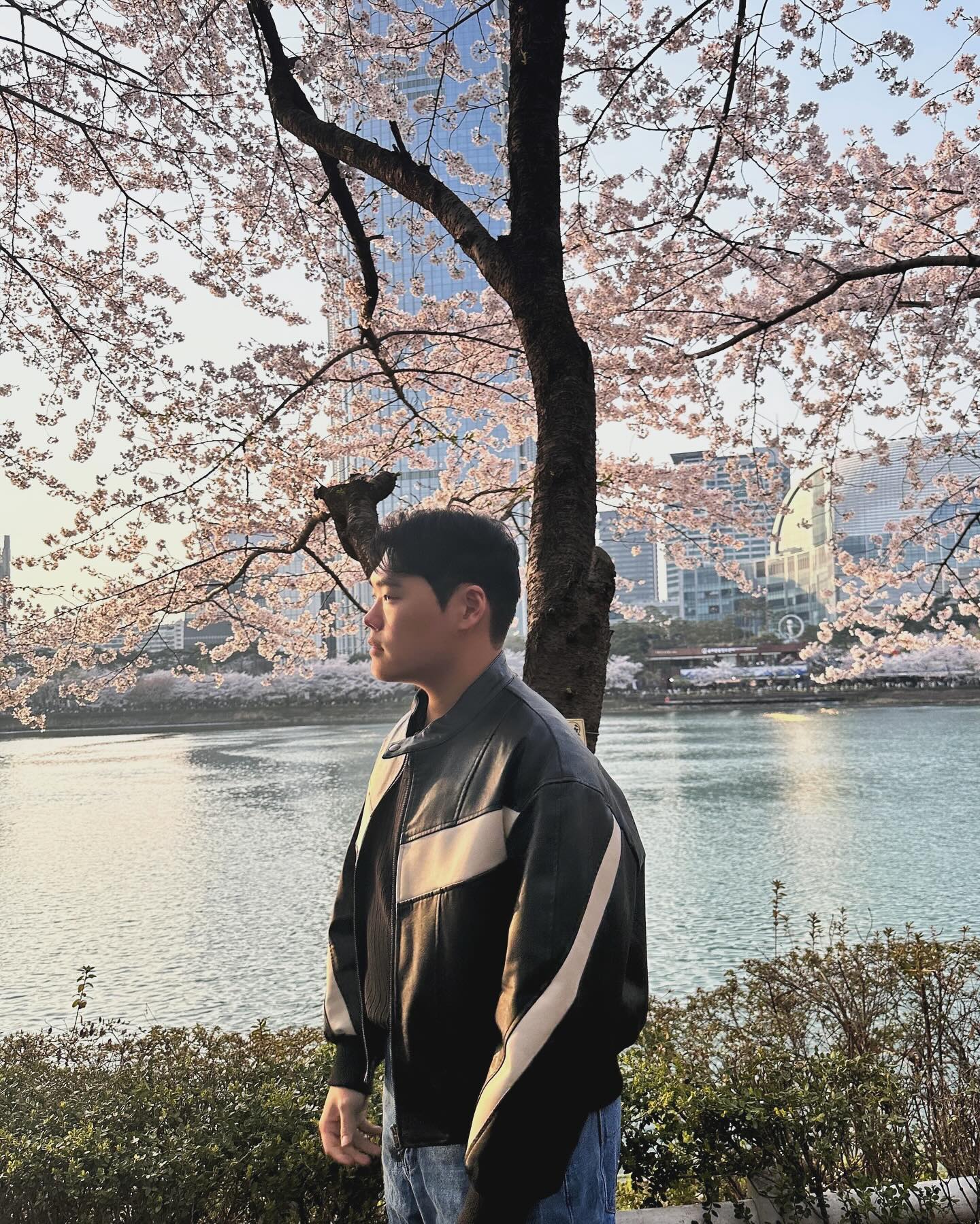 벚꽃 막차 탑승