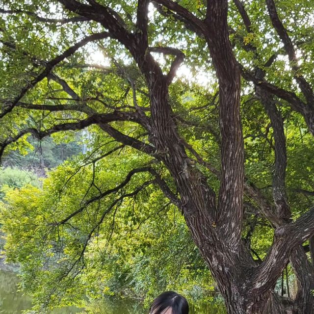 @m._.ran on Instagram: "산뽀가기 좋은 날씨☀️🍃 맨투맨의 계절...! 좋아하는 그린컬러에 예쁜 세미오버핏이라 아무때나 받쳐입기 좋은 #아이러니포르노 맨투맨💚 소재도 부들부들하고 밑단