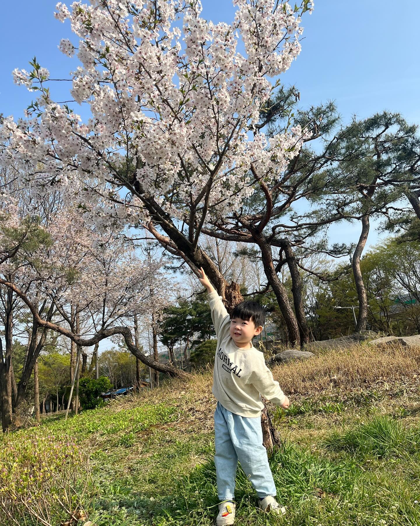 콘텐츠