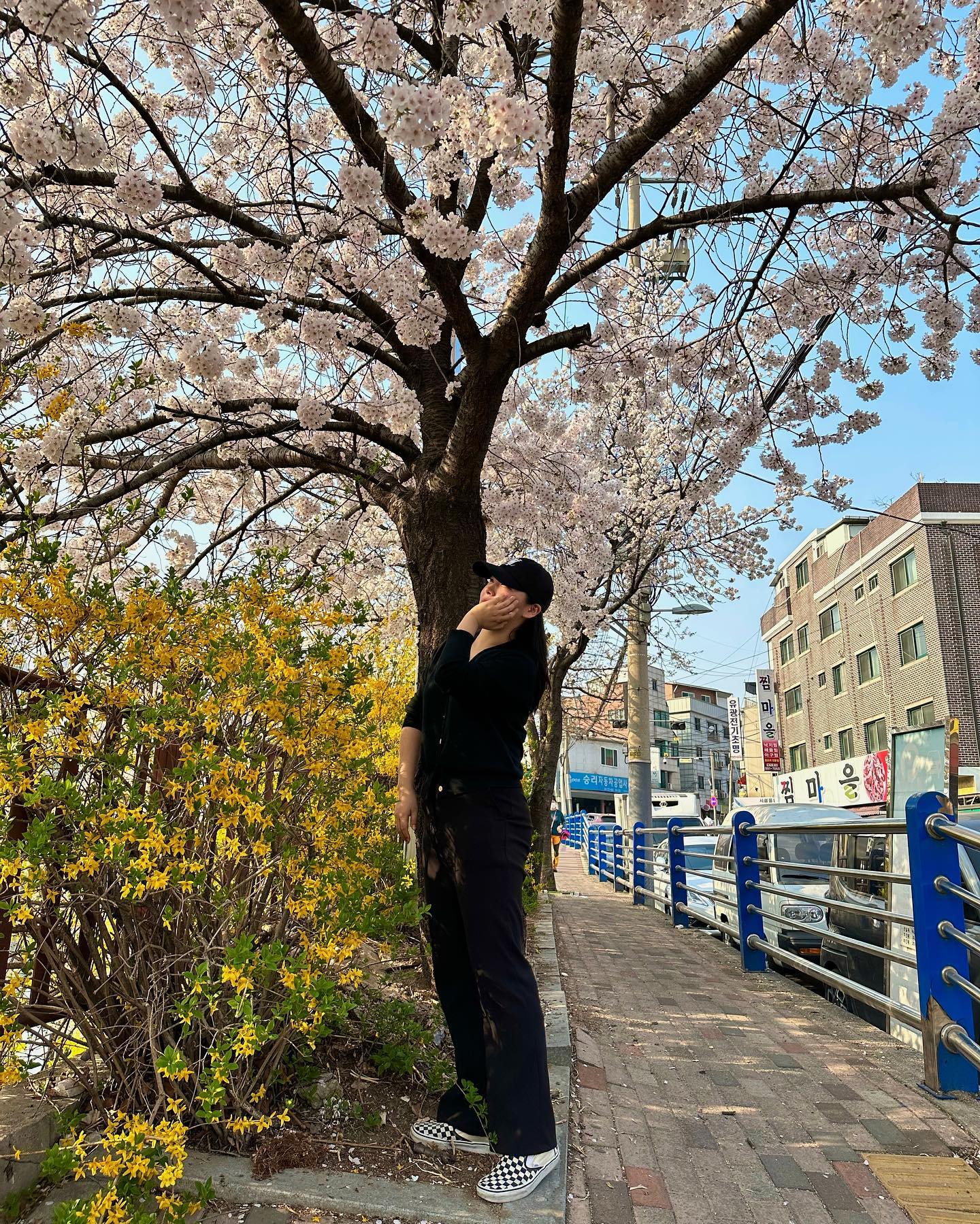 뒤늦게 올리는 꽃구경🌸
-
-
-
-
-
#일상 #데일리 #벚꽃 #꽃 #얼스타그램 #셀카 #셀스타그램 #셀피 #좋아요반사 #좋아요 #팔로우 #팔로우미 #봄 #선팔 #맞팔 #소통 #소통해요 #인친환영 #daily #flowers #follow #like #instagood #selfie #dailylook #lfl