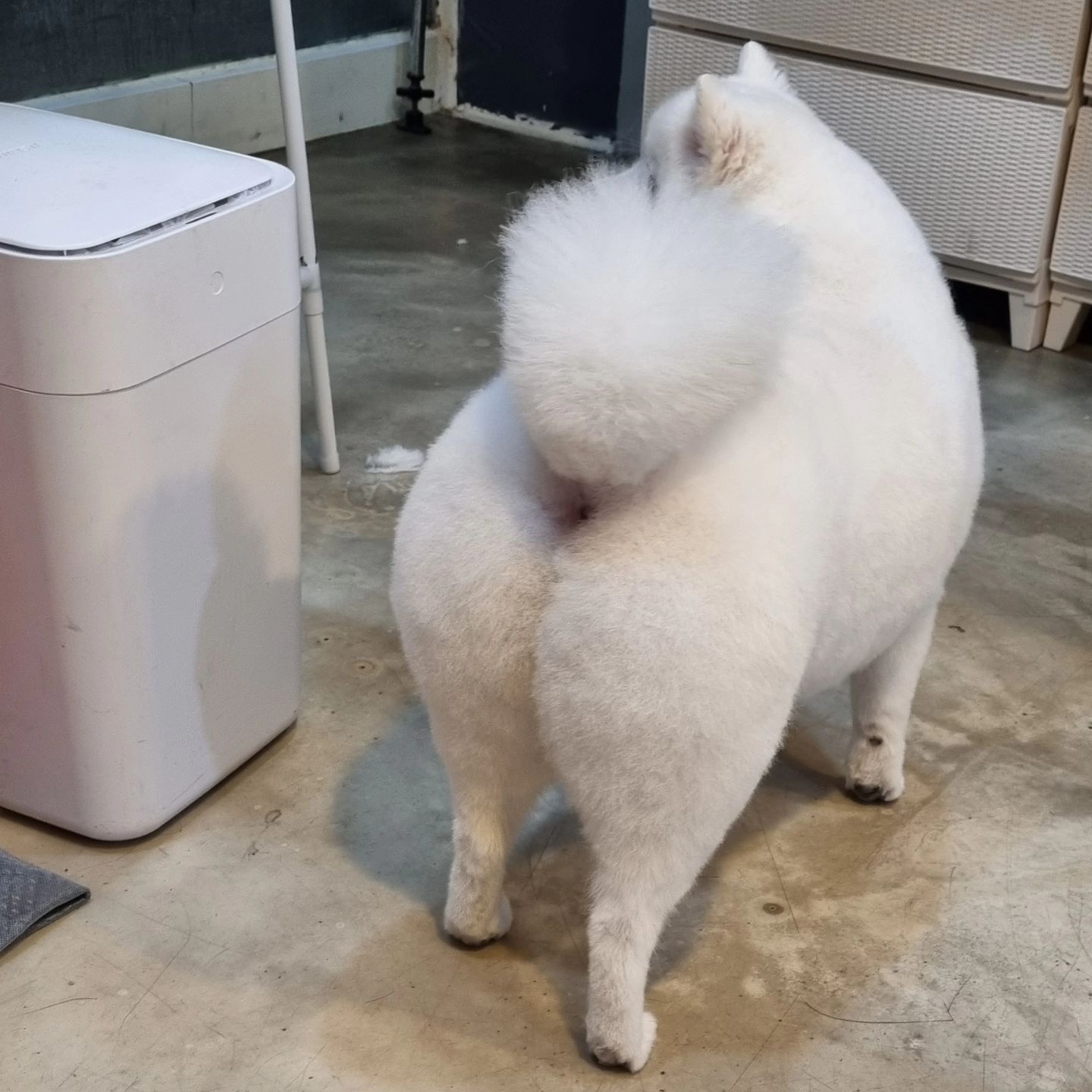 궁딩빵딩 💇‍♀️