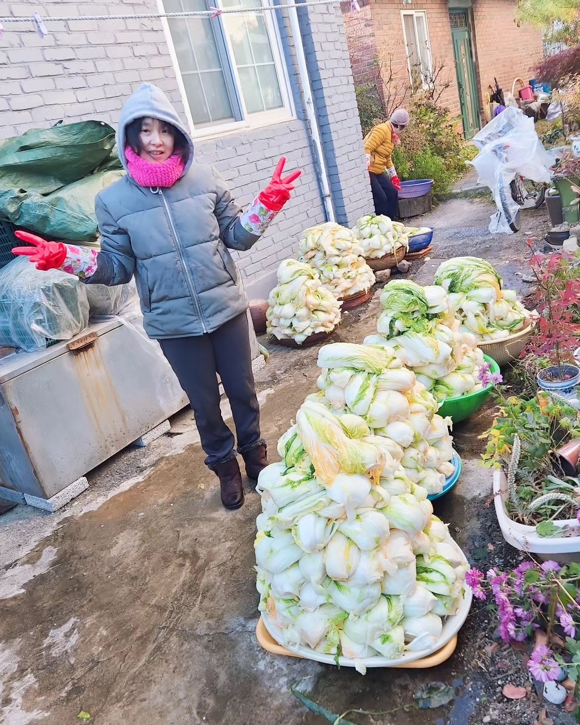 김장하던 날
아침부터 어무이가 깨우신다.
.
배추 씻자 
끝이 없다 ㅎㅎ ;;;
.
배추를 키우셔서 얼만큼 따오신건지
절인 배추 나눠도 주신다 
.
.
#김장 #김장하던날 #절인배추 #배추절이기 #배추씻기 #배추탑 #다리아프다 #주말스타그램 #주택살이