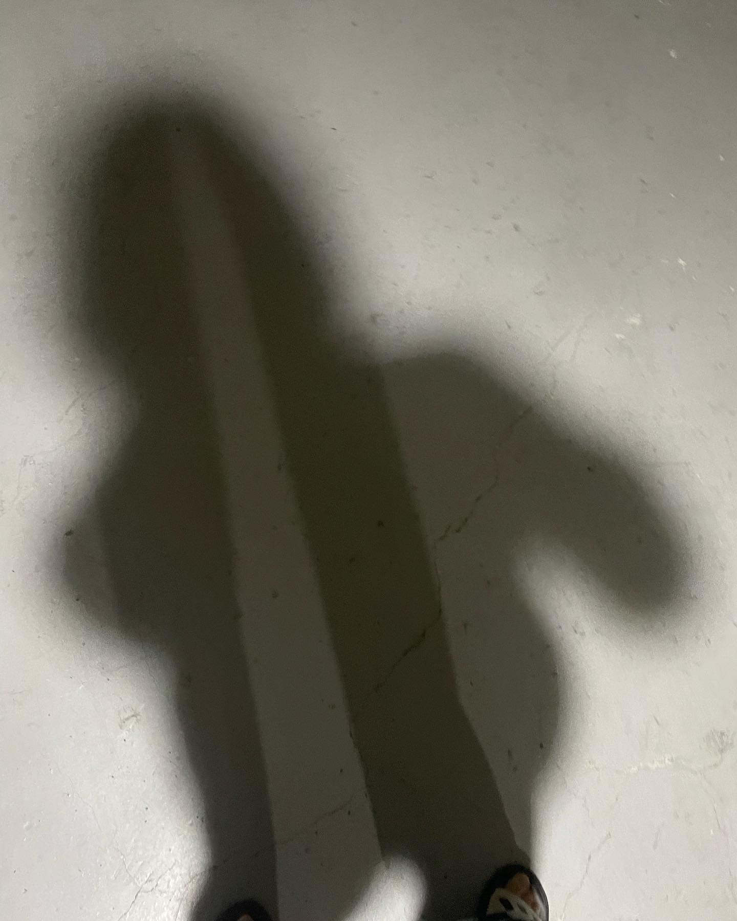 #쿵쾅쿵쾅킹콩 #그림자놀이✌️ 

산책하다 제 그림자가 귀여워서? 
한컷 찍어보았답니댜!
하아 갑자기 너무바빠졋는데 대체 왜..ㅠ

그래도 금요일 오전만 일하니 좀만 참아야겠죠 🫠
울님들 오늘두 고생 많으셨어요 ❤️🫶🏻