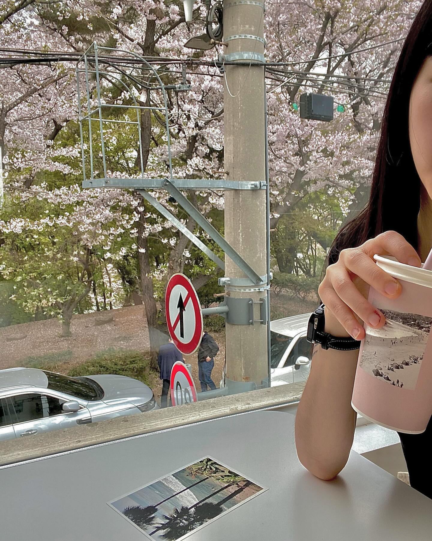 오늘 다녀온 마지막 벚꽃 놀이 🌸

올해는 벚꽃 봐서 다행이야 ٩(๑❛ᴗ❛๑)۶