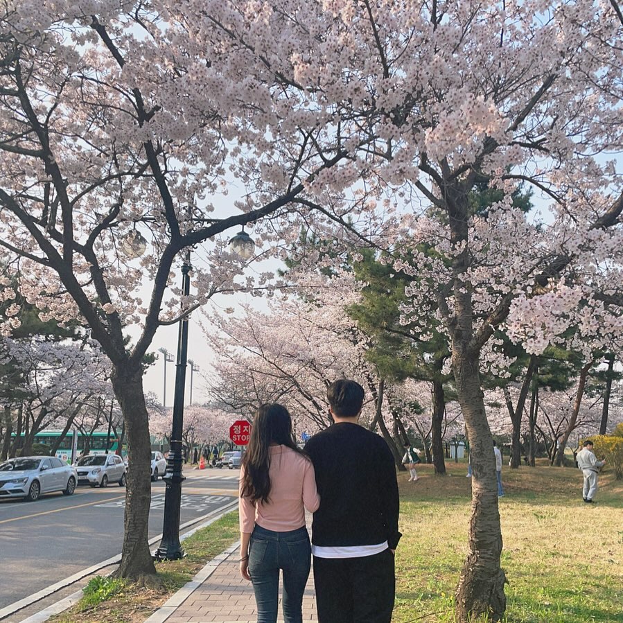2024.04🌸