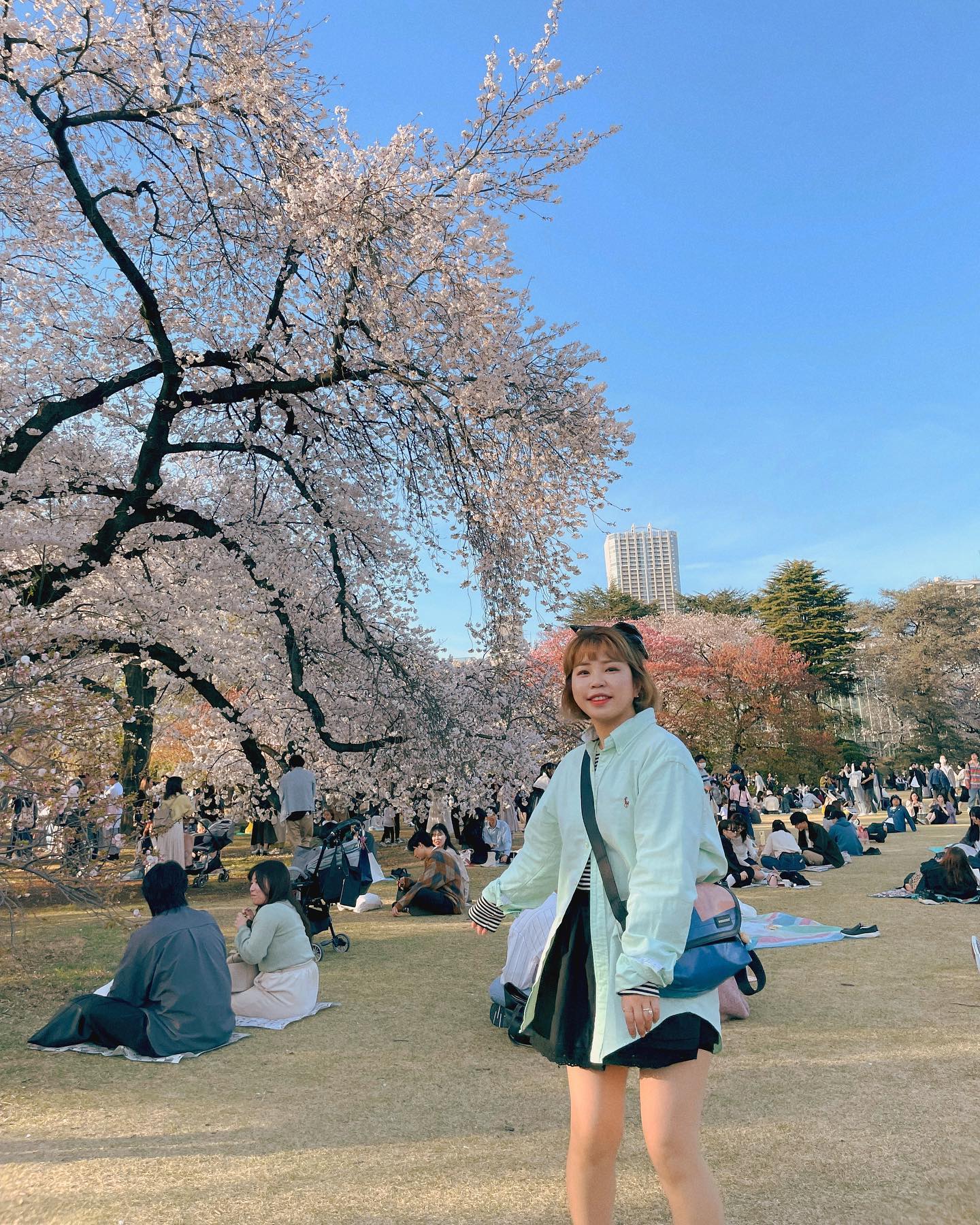 벚꽃보려고 티켓팅한건 아닌데 어쩌다보니 벚꽃만개라서 벚꽃으로 가득했던 도쿄여행,,🌸💖 
꽃놀이+맥주+쇼핑으로 4일 가득,,,🍣🌸🍺🛍️✈️🥹
. 
.
#tokyo#shinjuku#shinjukugyoen#도쿄#도쿄여행#신주쿠교엔#도쿄벚꽃#🌸